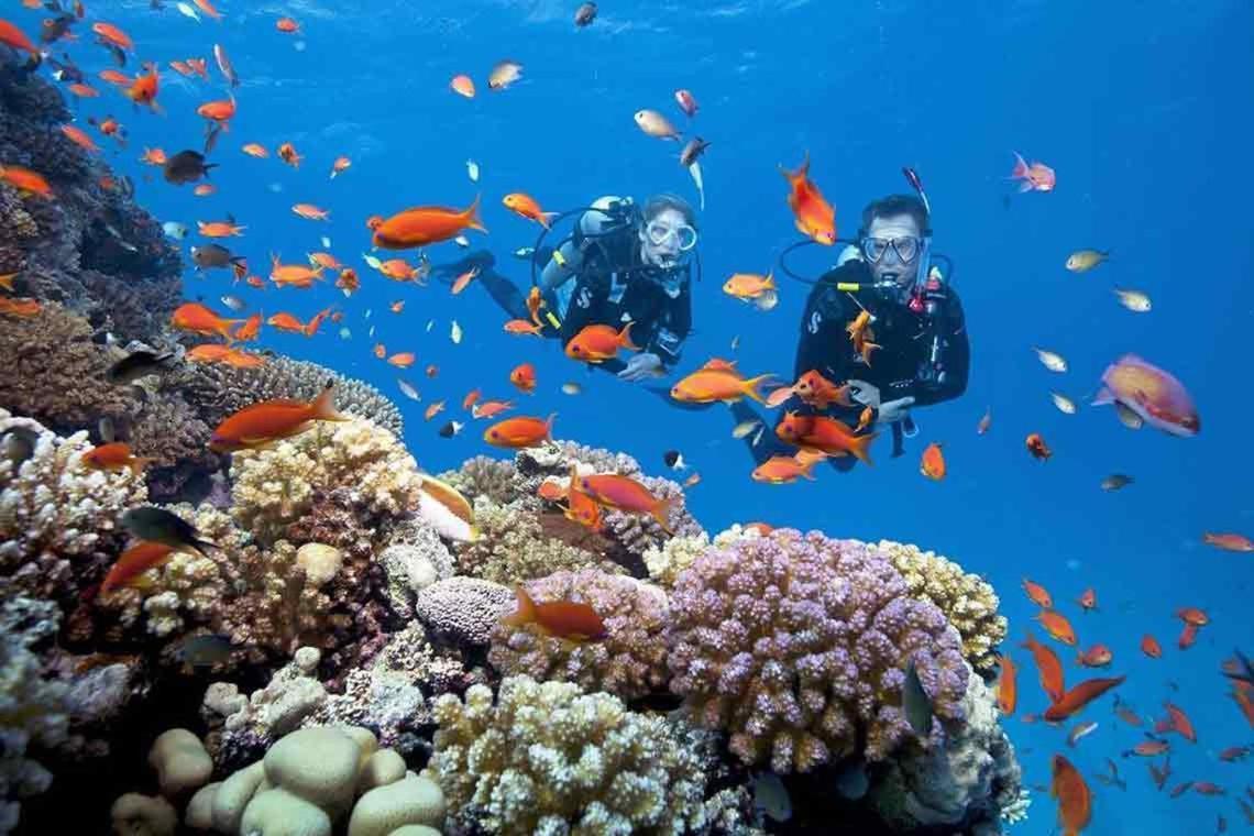 ナイス スワン ホテル ニャチャン エクステリア 写真